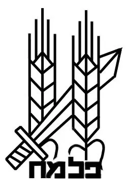 Palmach Symbol